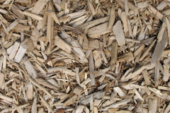 biomass boilers Hallglen